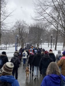 participants walk in through a park in the 2022 winter walk