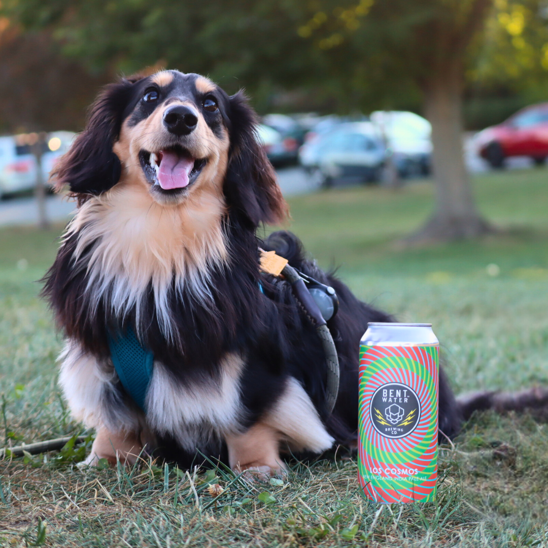 Los Cosmos beer image 2