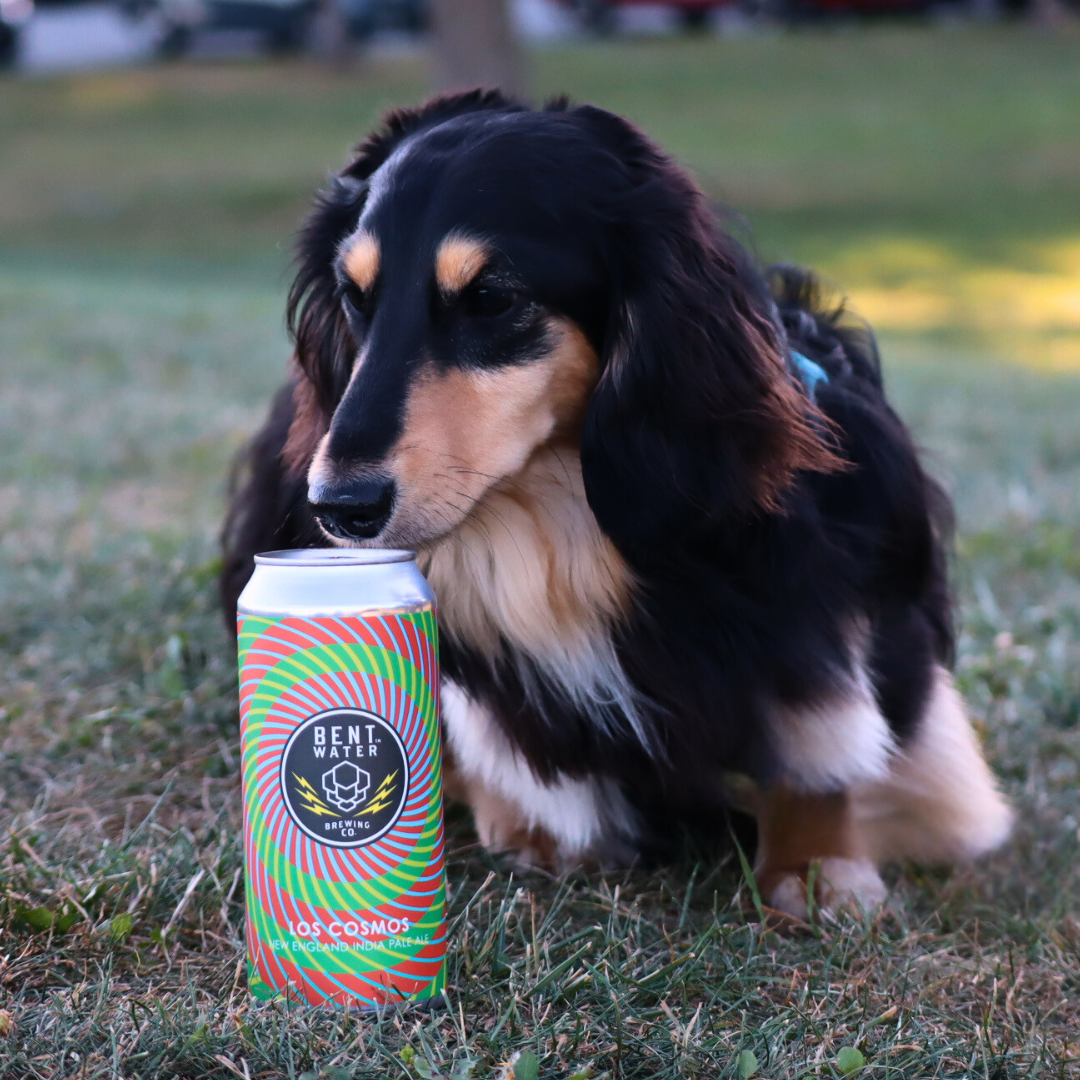 Los Cosmos beer image 0