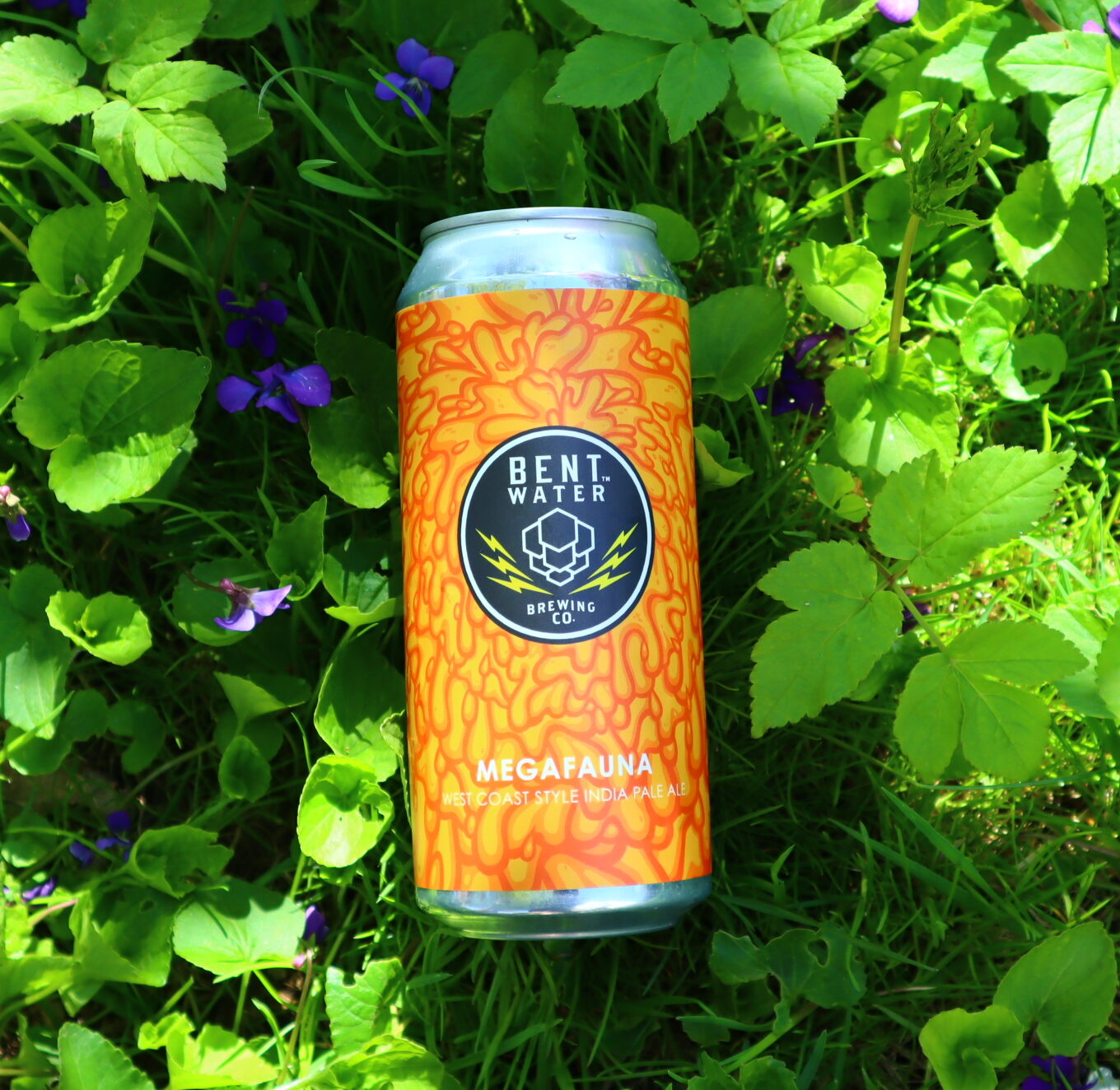 Megafauna beer image 2
