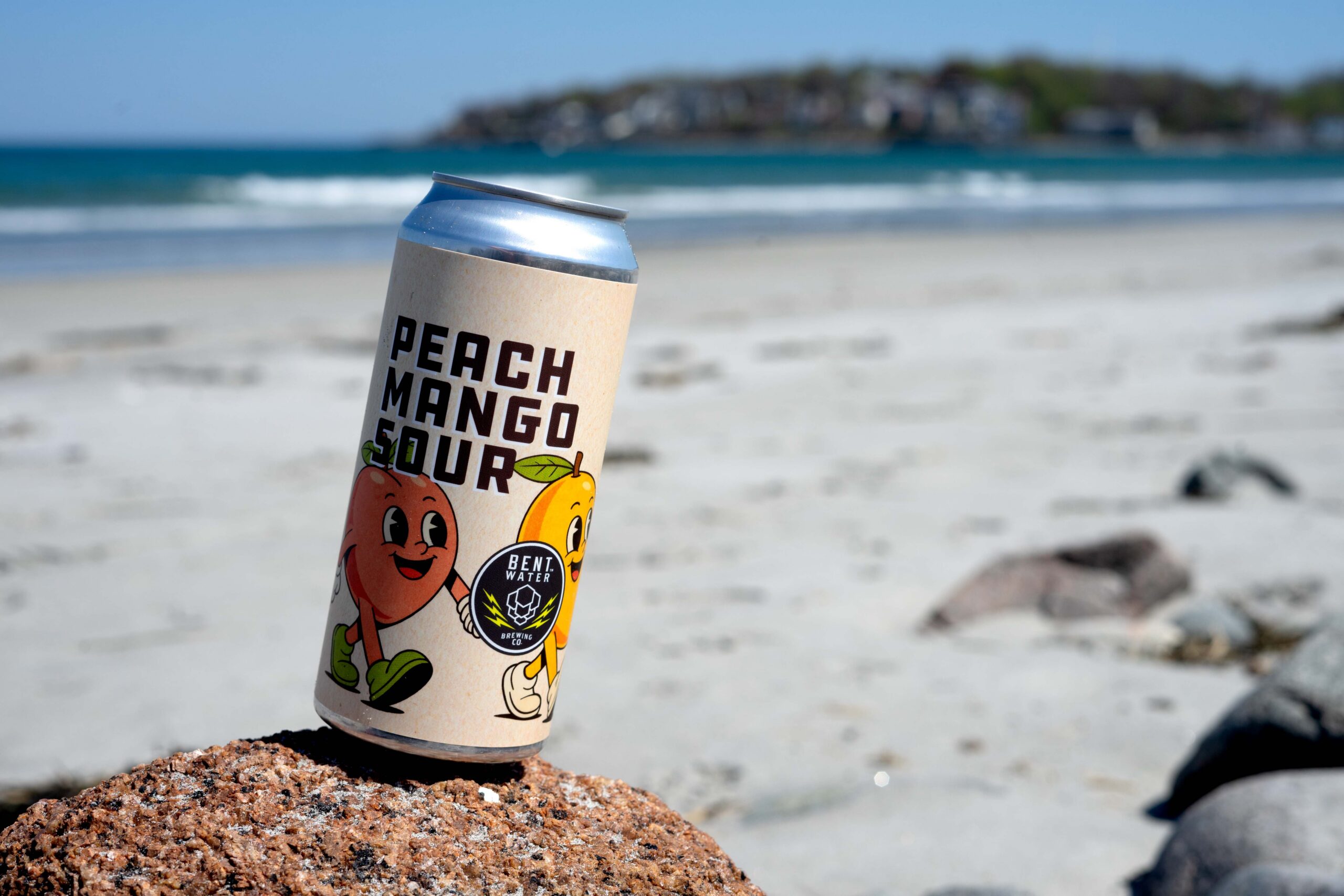 Peach Mango Sour beer image 1